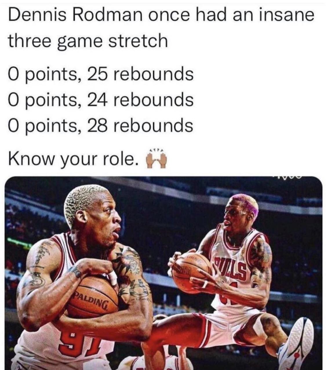 #DennisRodman #Chicago #ChicagoBulls #NBA #Basketball #NBANews #NBAMemes #NBAMemes #Sports #XZEmpire #XZSports